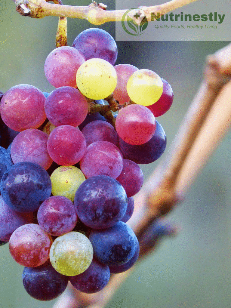 blue fruits