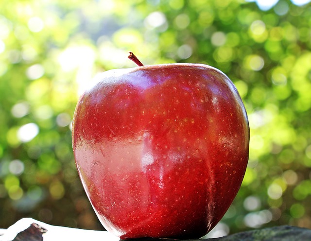Apple Protein