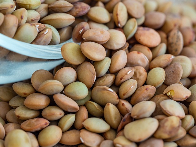 Green Lentils