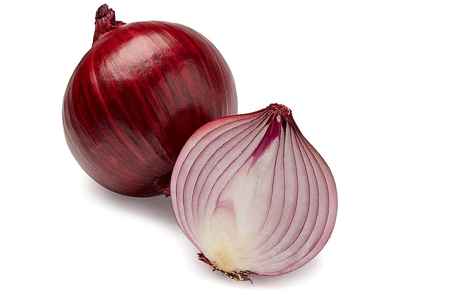 onion nutrition