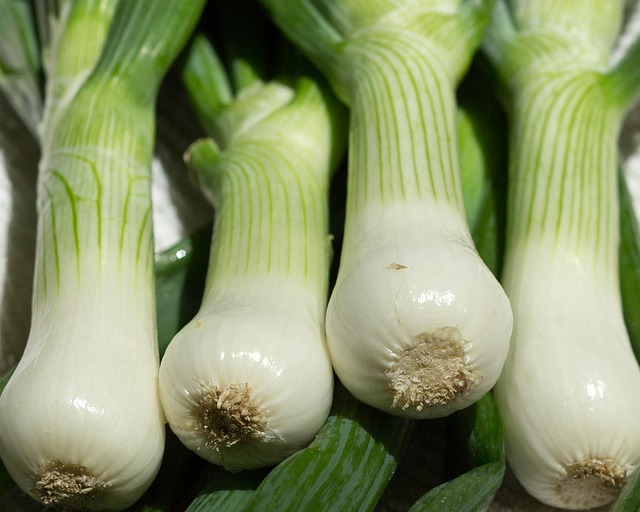 Onion Nutrition