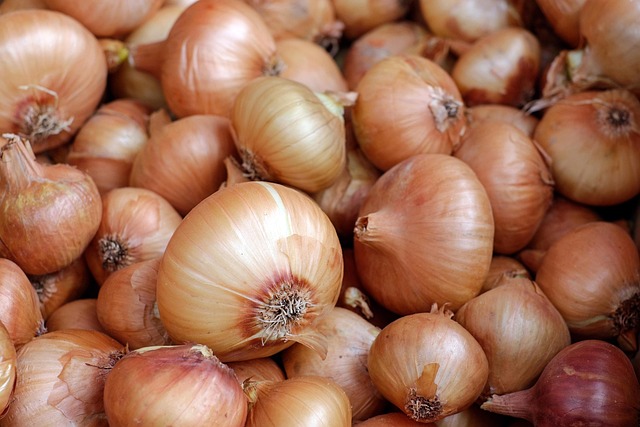 Onion Nutrition