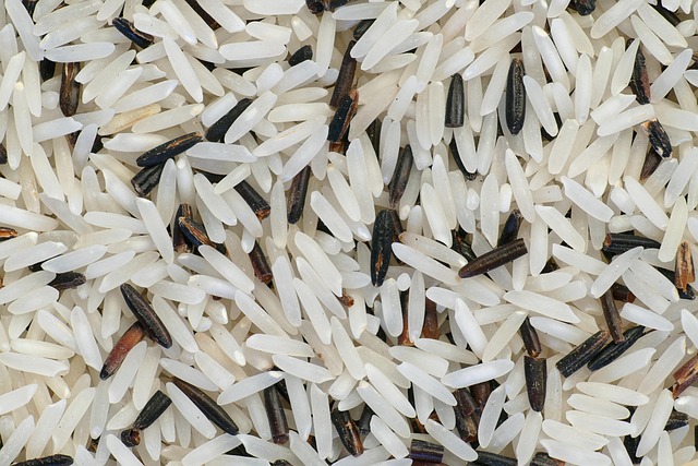 Rice Nutrition Facts